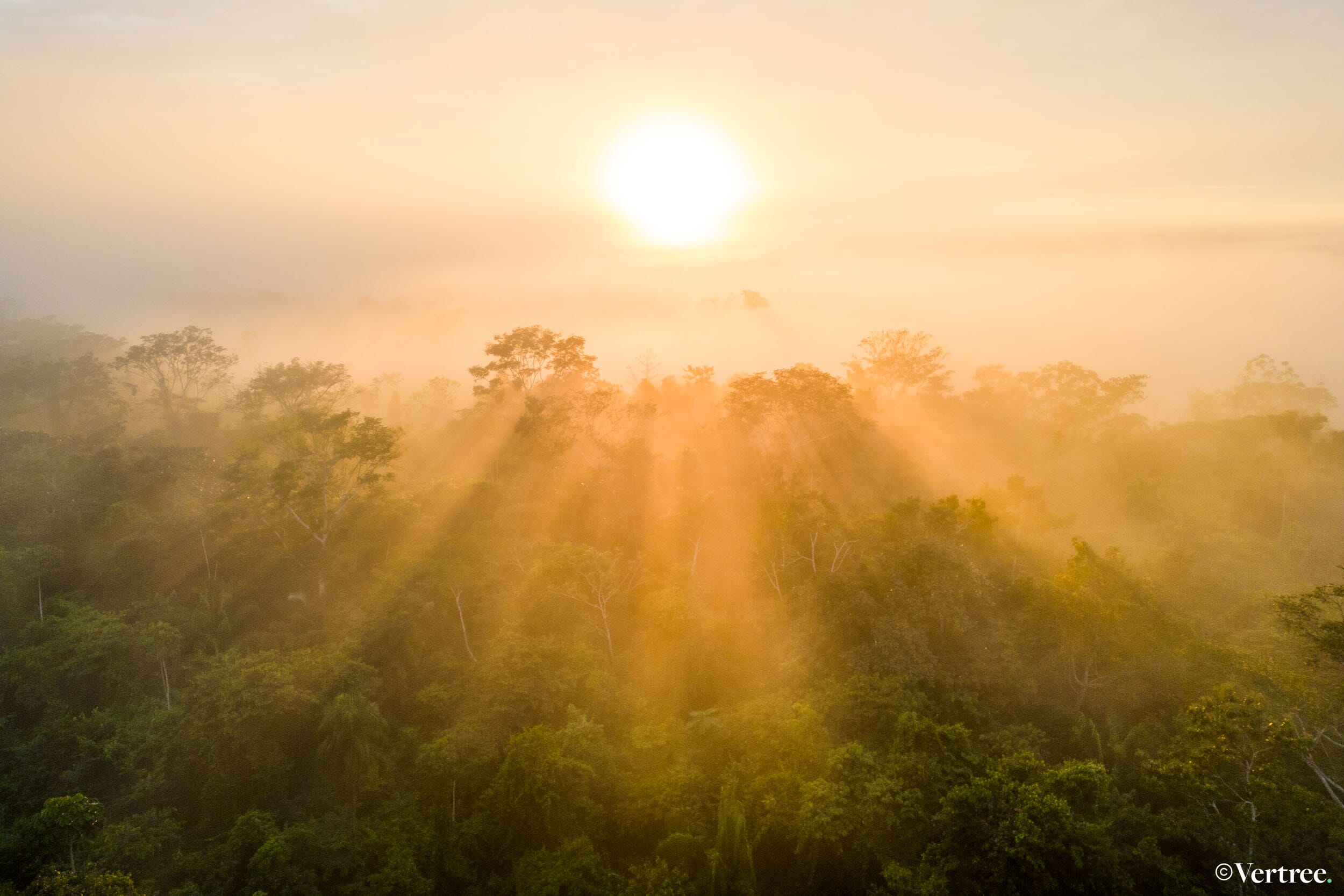 20230606_AcreDrone-8.jpg?w=1024&h=683&scale